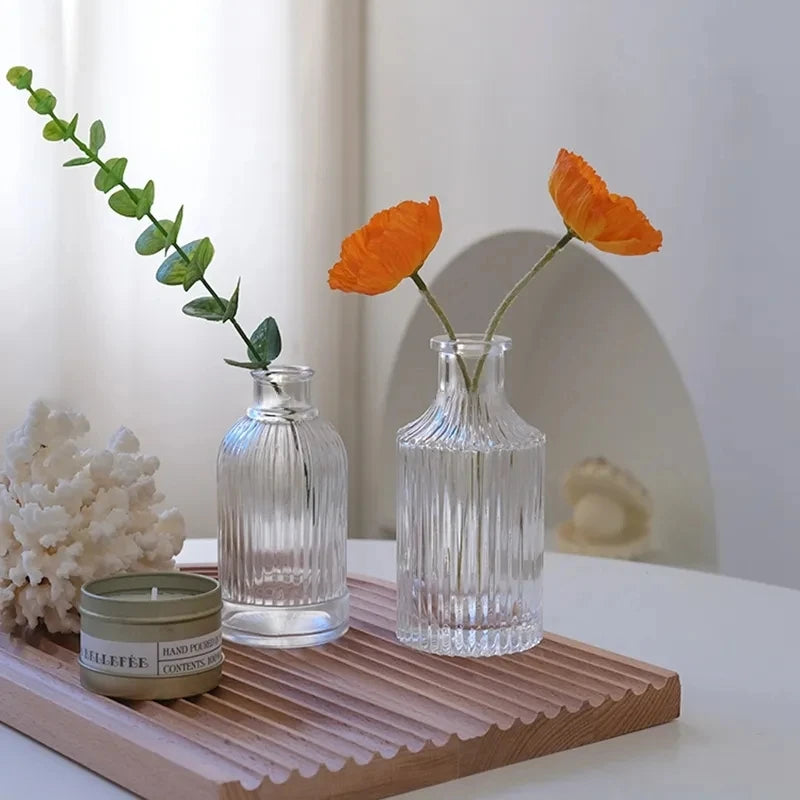 1pc Nordic Transparent Vases