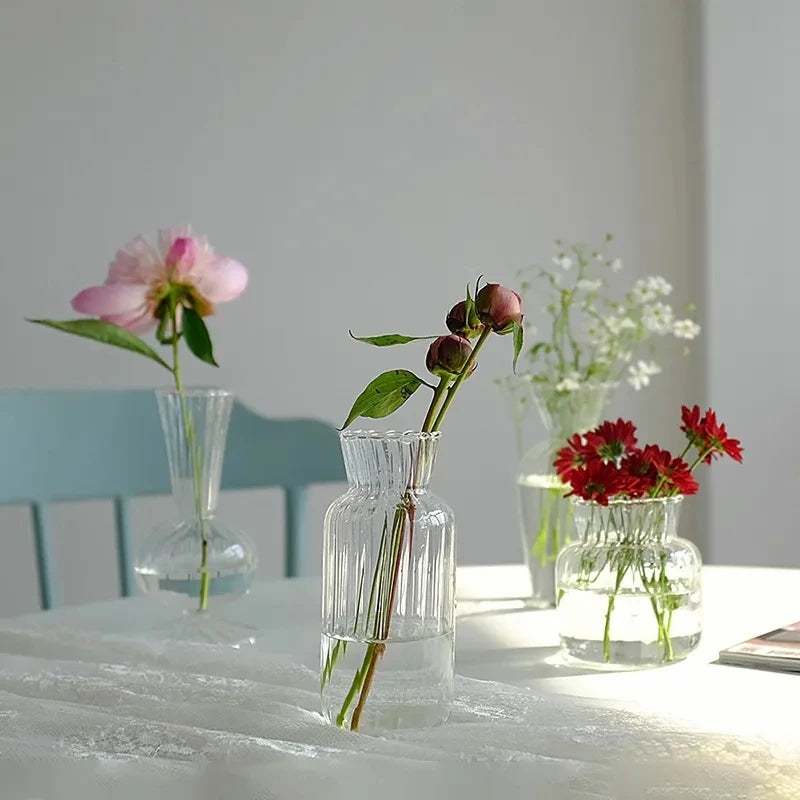 1pc Nordic Transparent Vases