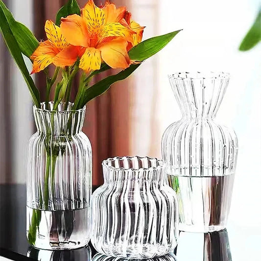 1pc Nordic Transparent Vases