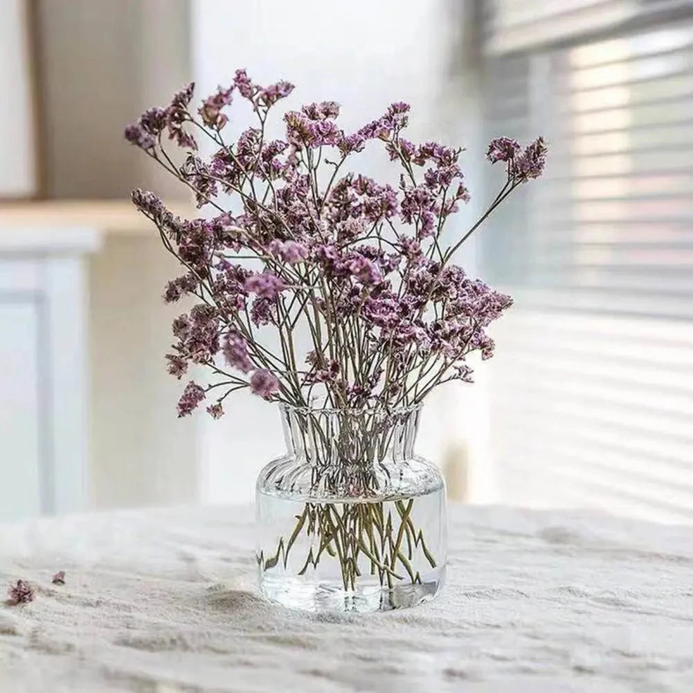 1pc Nordic Transparent Vases