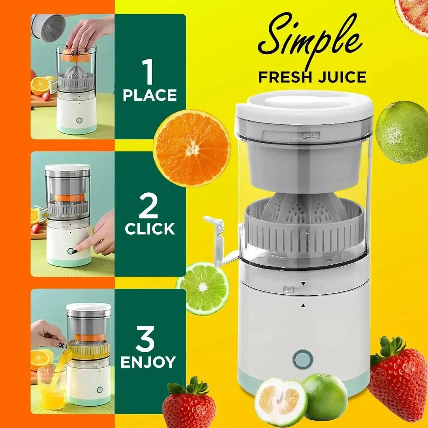 Fruit Juice Extractor