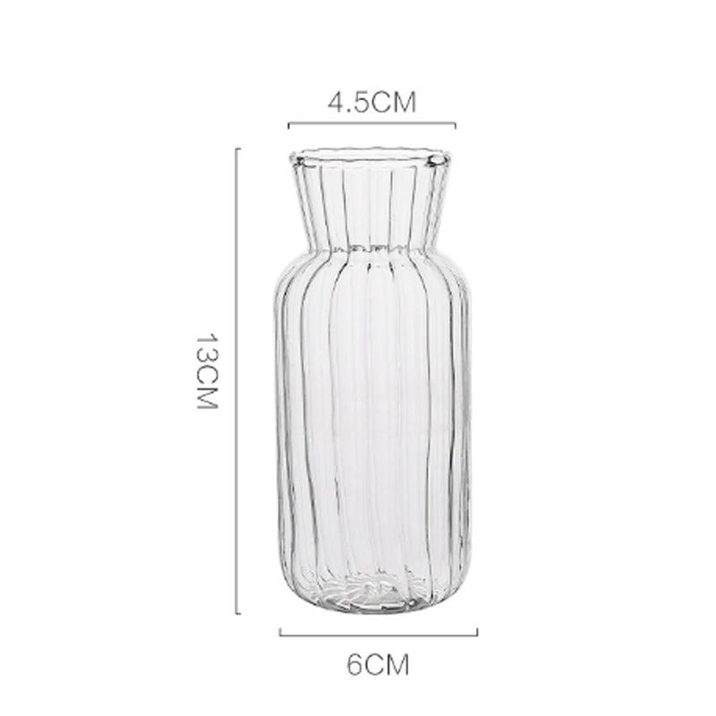 1pc Nordic Transparent Vases