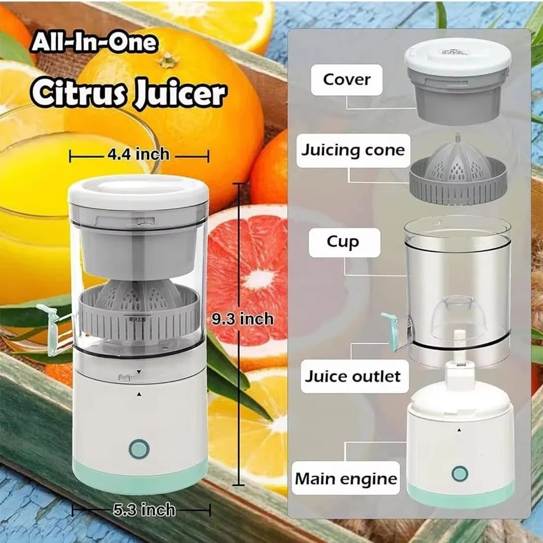 Fruit Juice Extractor